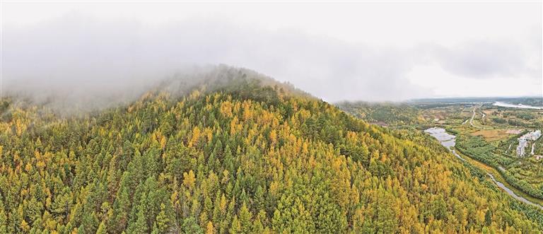 時(shí)政微觀察丨“增綠就是增優(yōu)勢(shì)、護(hù)林就是護(hù)財(cái)富”