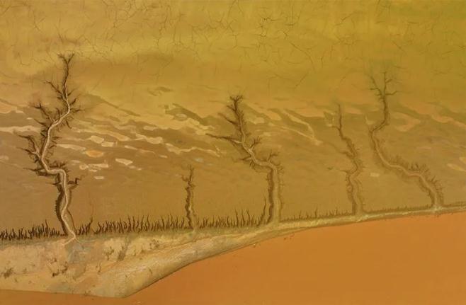 這個(gè)大會為億萬網(wǎng)友而開丨焦點(diǎn)網(wǎng)談