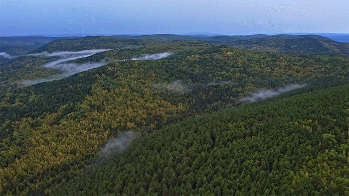 時政微紀錄丨習近平總書記黑龍江行