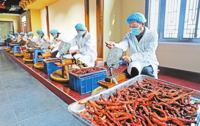 新時(shí)代 新征程 新偉業(yè)丨“藥都”誠邀四海賓 “鈞都”笑迎八方客 魅力禹州 “藥”“瓷”爭(zhēng)輝煥新彩