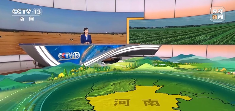 芝麻“上新”、小麥“升級”……中原糧倉真的“中”！
