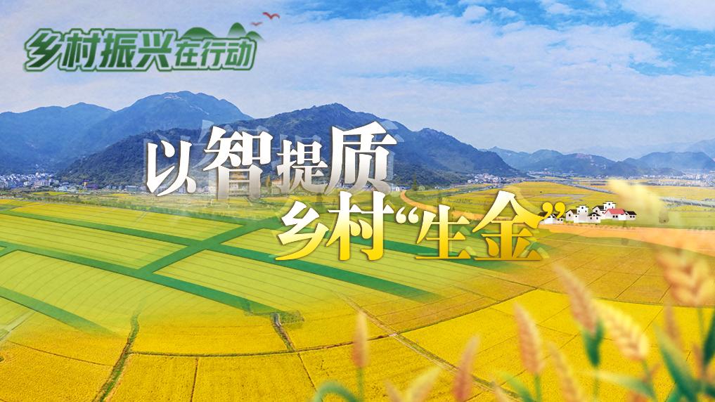 鄉(xiāng)村振興在行動(dòng)丨以智提質(zhì) 鄉(xiāng)村“生金”