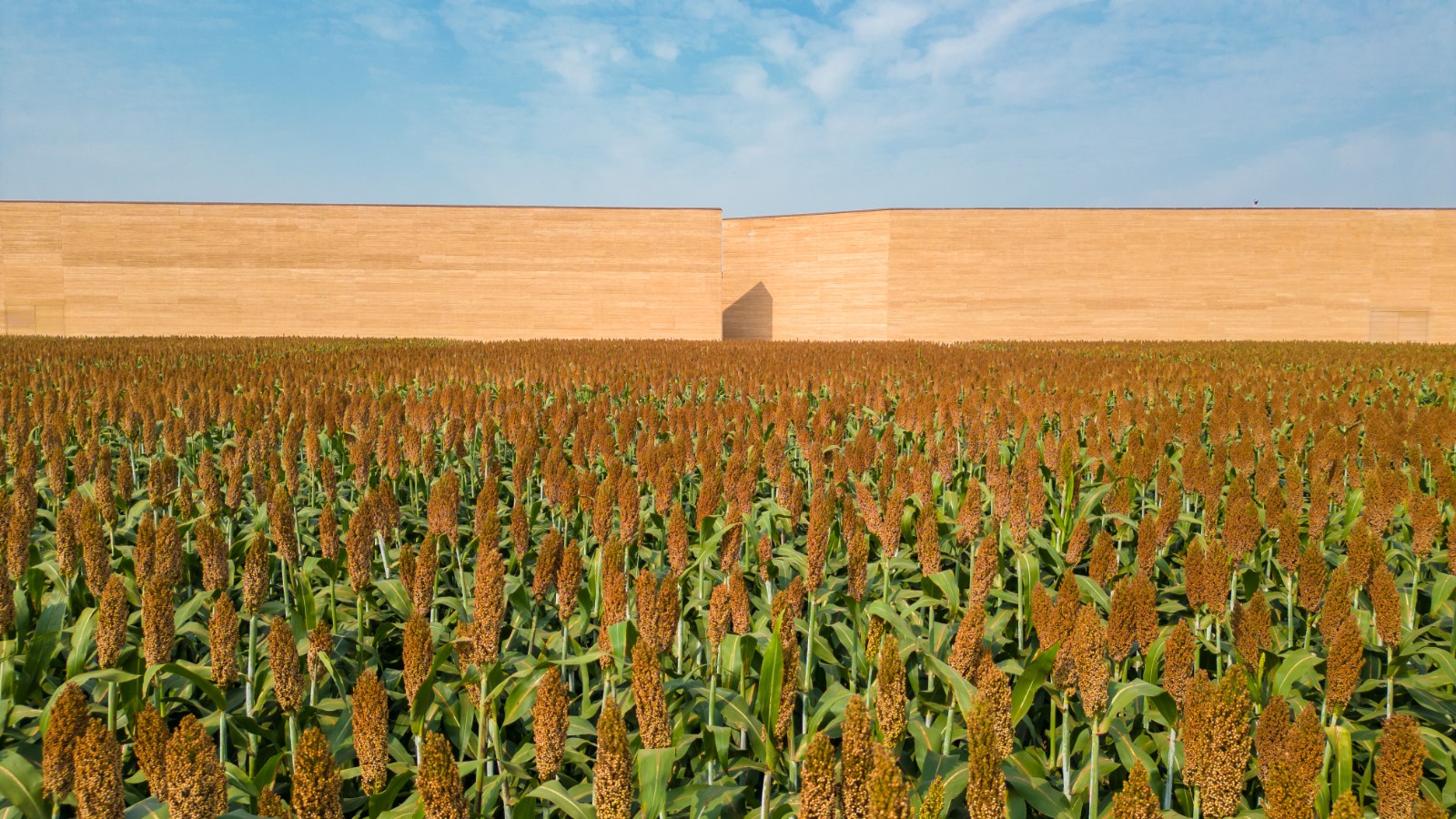 從“河”而來丨探尋“我們是誰？”中外媒體走進“只有河南·戲劇幻城”