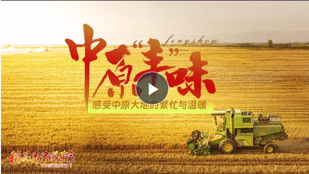 金秋稻花香！《中原“豐”味》描繪河南秋收畫卷