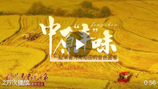 #河南被金色刷屏了#【金秋稻花香！《中原“豐”味》描繪河南秋收畫卷】秋風(fēng)拂面，金黃稻浪隨風(fēng)起舞，果實芳香彌漫空中。在這金秋大好時節(jié)，中原大地呈現(xiàn)出一派繁忙景象…… #稻花香里說豐年# 大河網(wǎng)的微博視頻