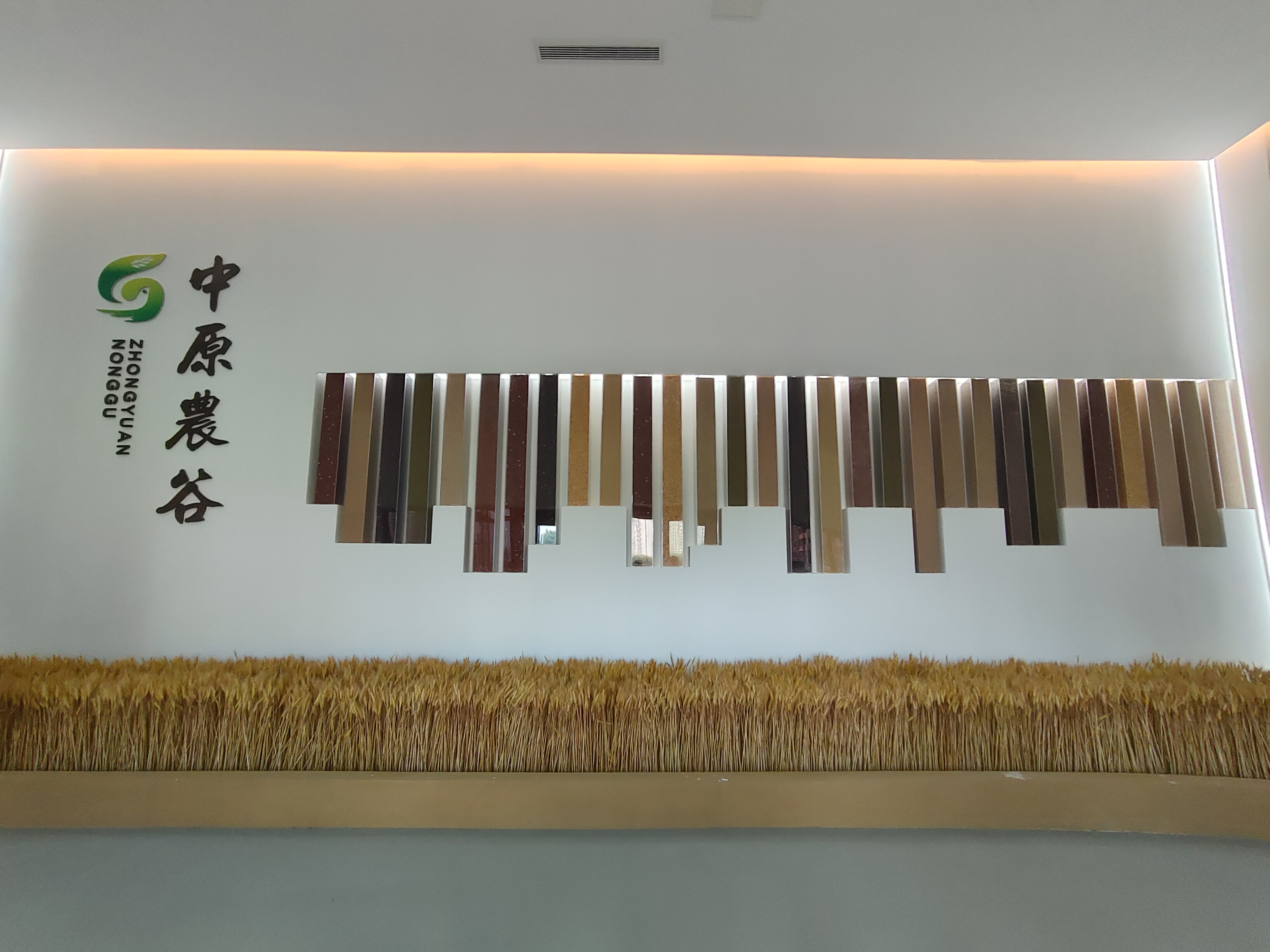 數(shù)智賦能新鄉(xiāng)造，看新鄉(xiāng)如何打響產(chǎn)業(yè)轉(zhuǎn)型新名片