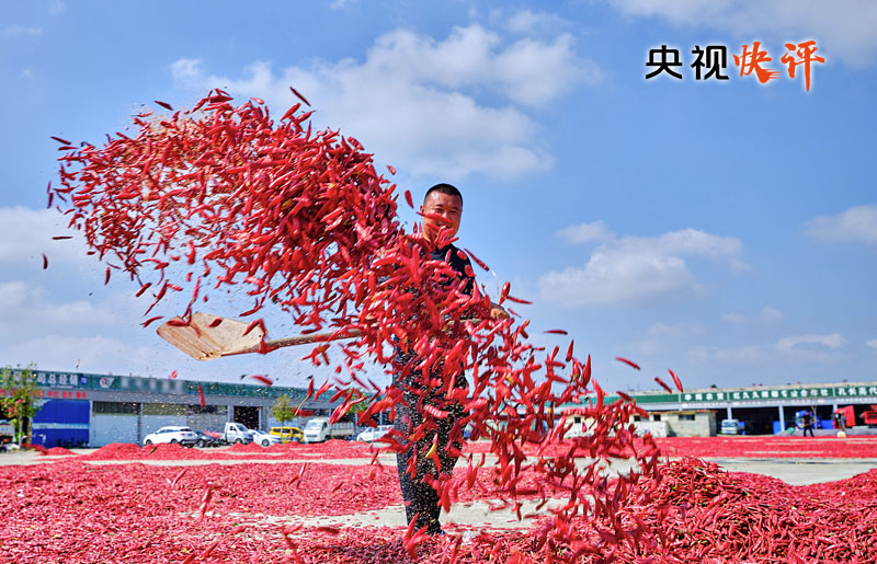【央視快評(píng)】讓農(nóng)民腰包越來越鼓、生活越來越美好——慶祝第六個(gè)“中國(guó)農(nóng)民豐收節(jié)”