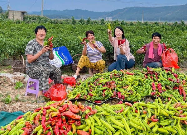 慶豐收 促和美丨河聲：辦好農(nóng)民豐收節(jié) 共繪河南“三農(nóng)”新畫(huà)卷