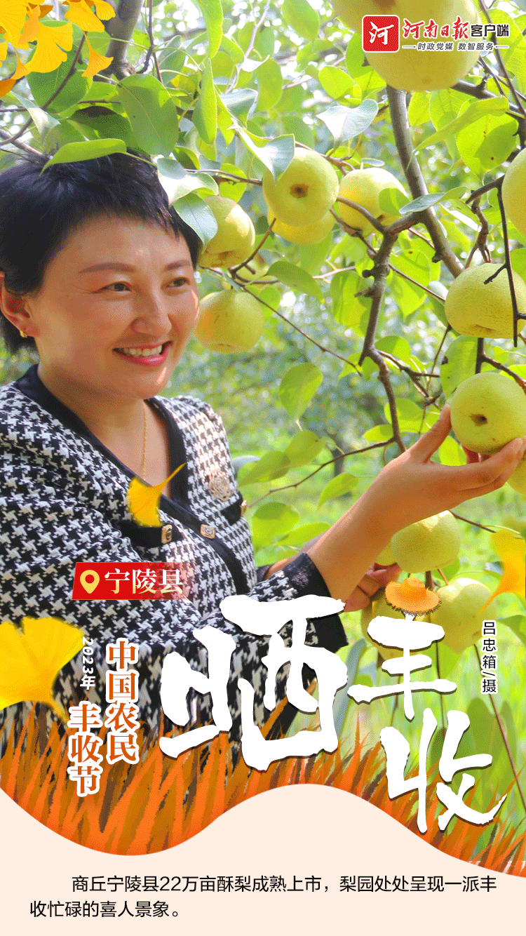海報(bào) | 豐收節(jié)，曬豐收！（一）