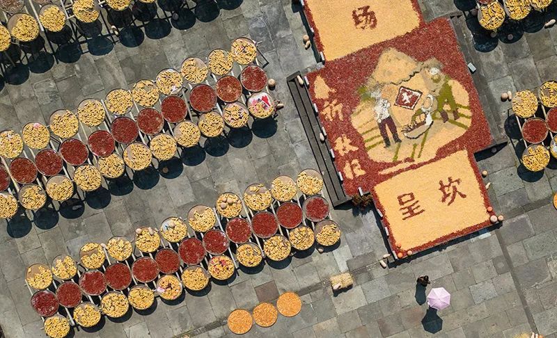 豐收之美｜“農(nóng)，天下之本”