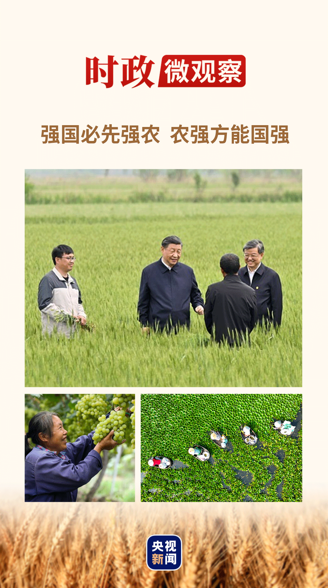 豐收之美｜“農(nóng)，天下之本”