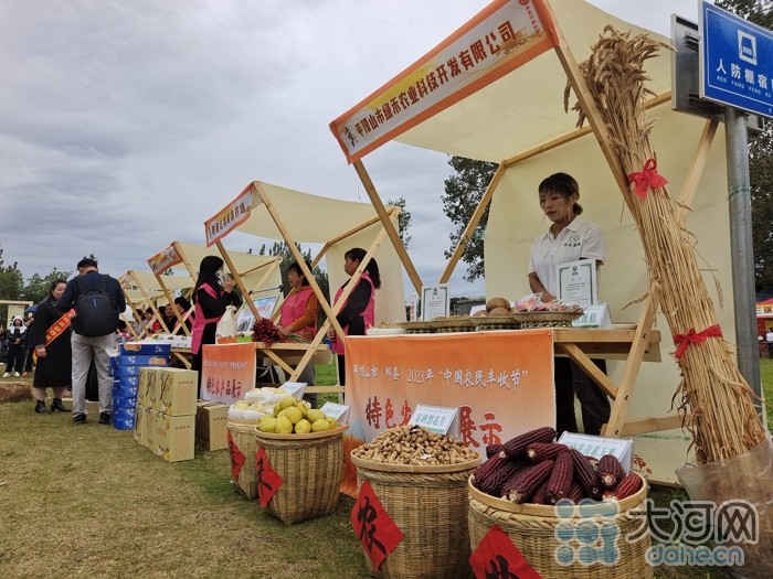 稻花香里說豐年丨劉蘭芳點贊種糧大戶！平頂山慶祝2023年中國農(nóng)民豐收節(jié)