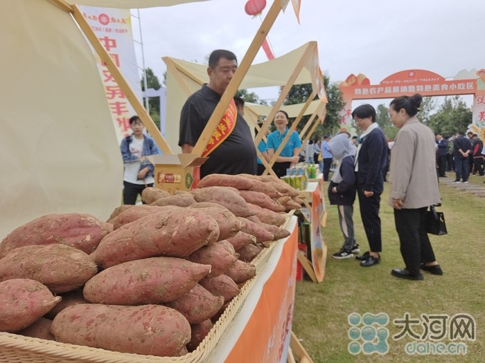 稻花香里說豐年丨劉蘭芳點贊種糧大戶！平頂山慶祝2023年中國農(nóng)民豐收節(jié)