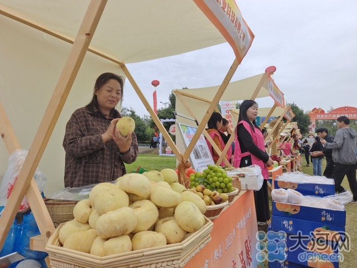 稻花香里說豐年丨劉蘭芳點贊種糧大戶！平頂山慶祝2023年中國農(nóng)民豐收節(jié)