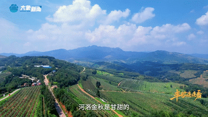 “國色天香”的河洛之地有多少美味？洛陽農(nóng)業(yè)農(nóng)村局局長帶你嘗美食賞美景！