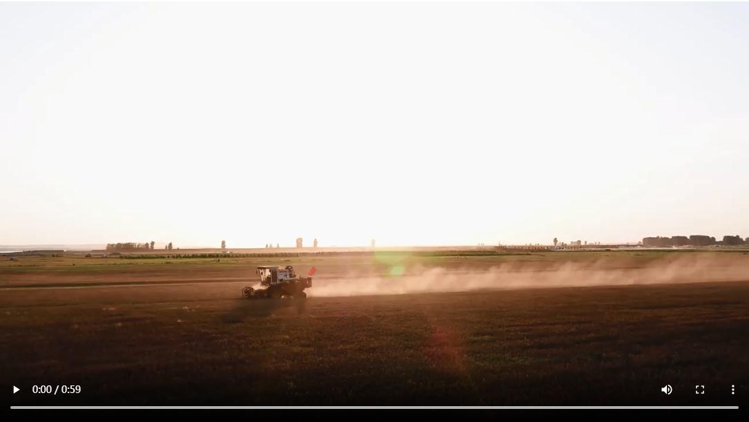 時(shí)習(xí)之 豐收之美｜讓“中國(guó)碗”裝滿(mǎn)“中國(guó)糧” 總書(shū)記田間地頭話(huà)農(nóng)耕