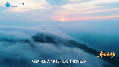 “國色天香”的河洛之地有多少美味？洛陽農(nóng)業(yè)農(nóng)村局局長帶你嘗美食賞美景！