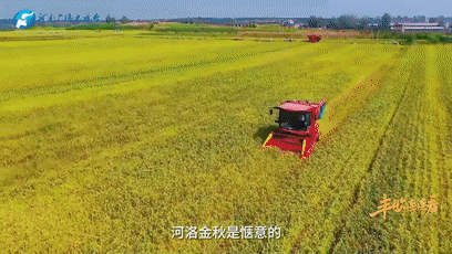 “國色天香”的河洛之地有多少美味？洛陽農(nóng)業(yè)農(nóng)村局局長帶你嘗美食賞美景！