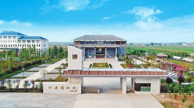 稻花香里說豐年丨溫縣小麥博物館:小麥萬年傳耕耘天地間