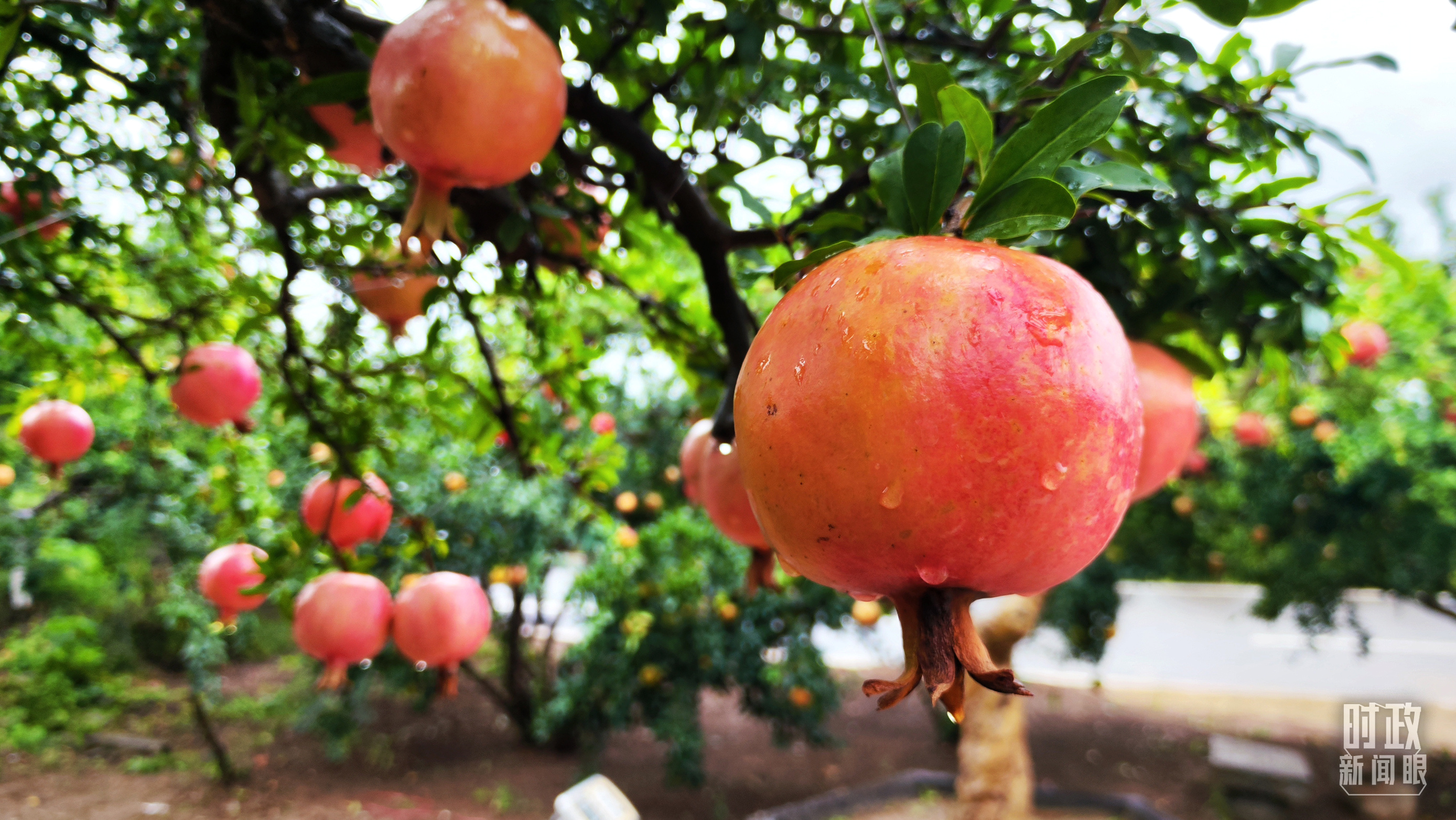 時(shí)政新聞眼丨從浙江到山東棗莊，習(xí)近平這一次考察重點(diǎn)強(qiáng)調(diào)了什么？