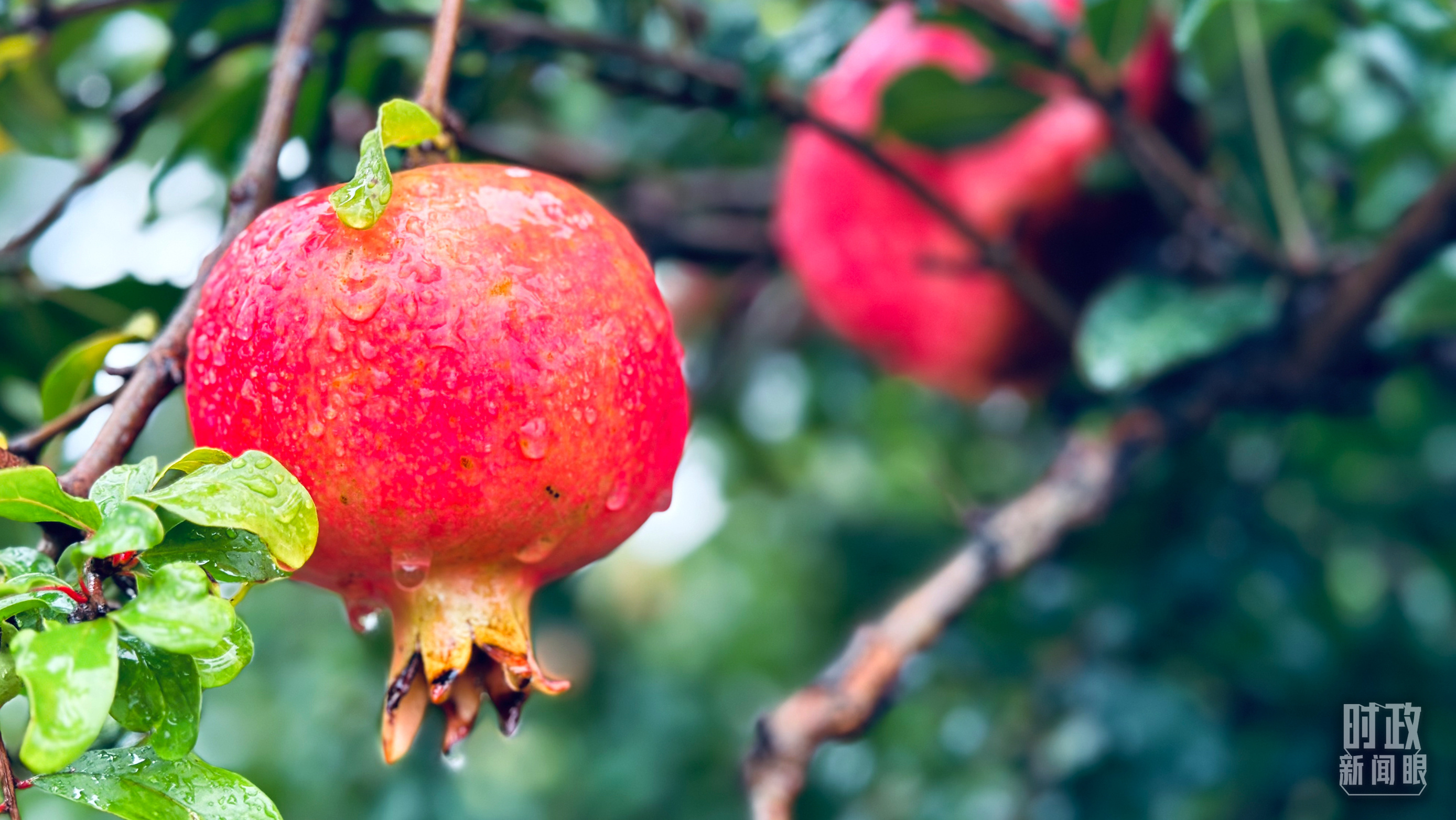 時(shí)政新聞眼丨從浙江到山東棗莊，習(xí)近平這一次考察重點(diǎn)強(qiáng)調(diào)了什么？