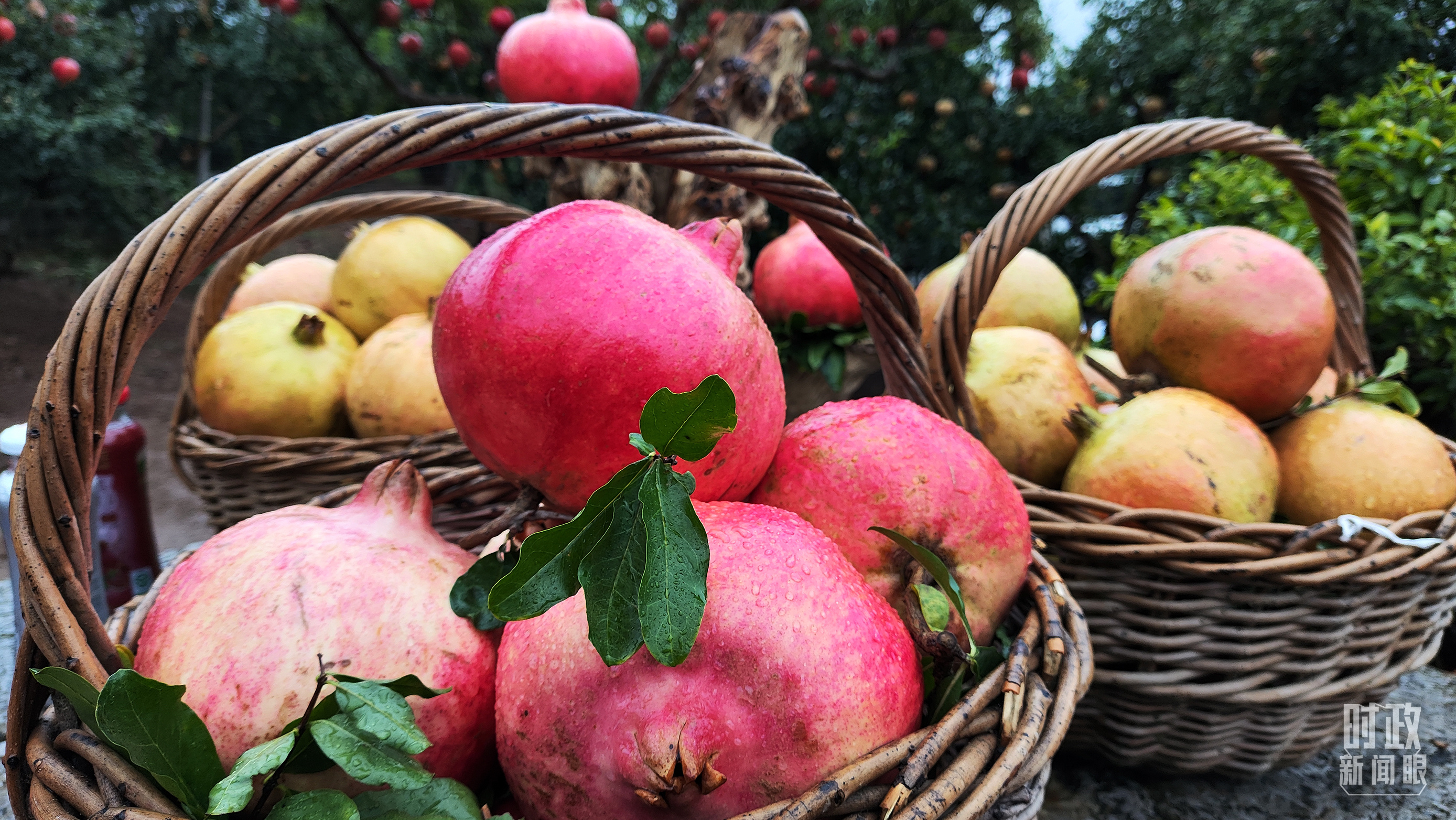 時(shí)政新聞眼丨從浙江到山東棗莊，習(xí)近平這一次考察重點(diǎn)強(qiáng)調(diào)了什么？