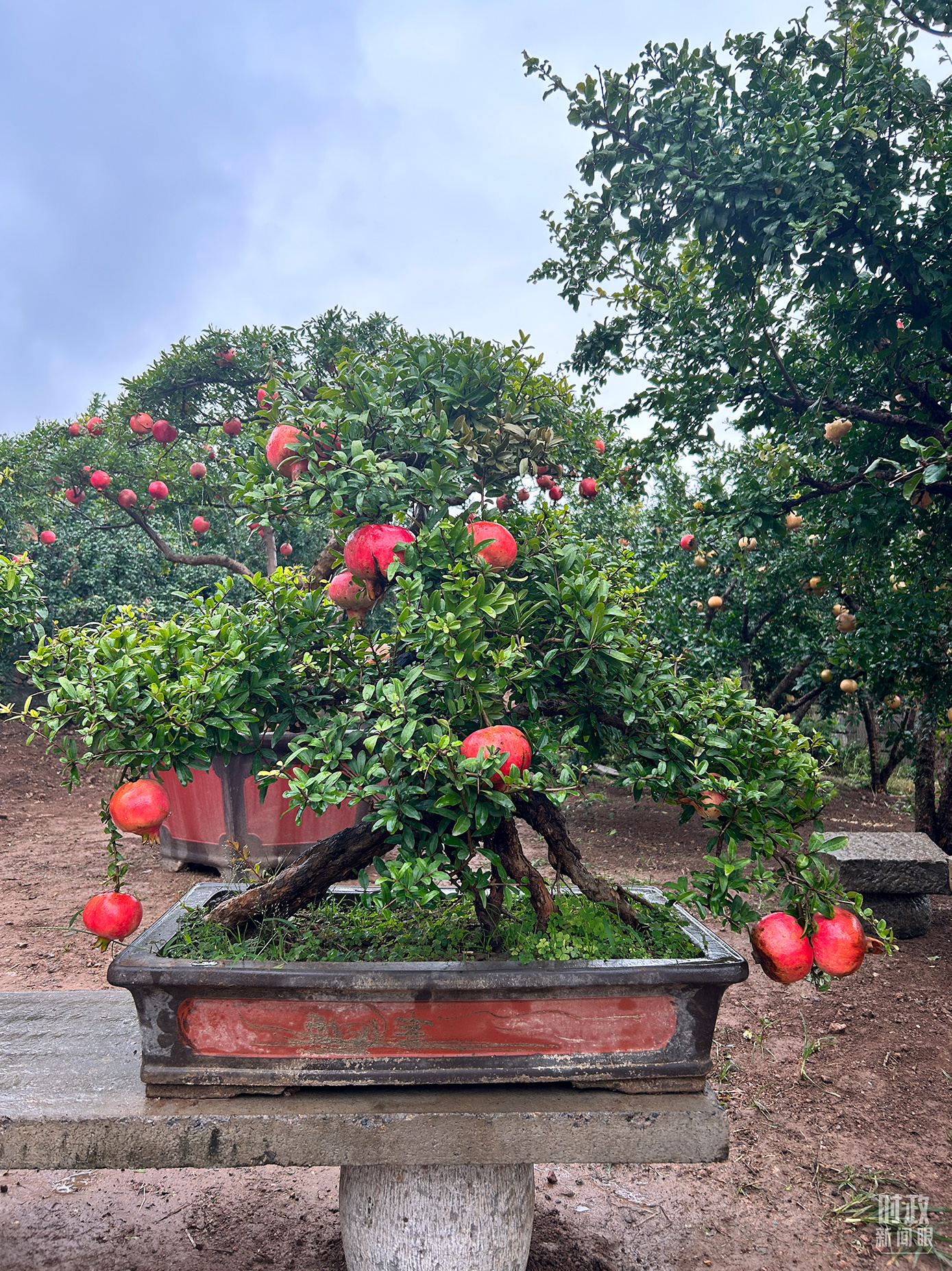 時(shí)政新聞眼丨從浙江到山東棗莊，習(xí)近平這一次考察重點(diǎn)強(qiáng)調(diào)了什么？