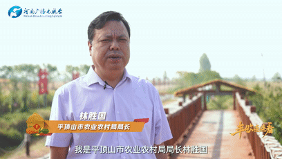 鷹城還盛產(chǎn)韭菜和肉鴿？平頂山農(nóng)業(yè)農(nóng)村局局長@你來富硒糧倉曬早秋！