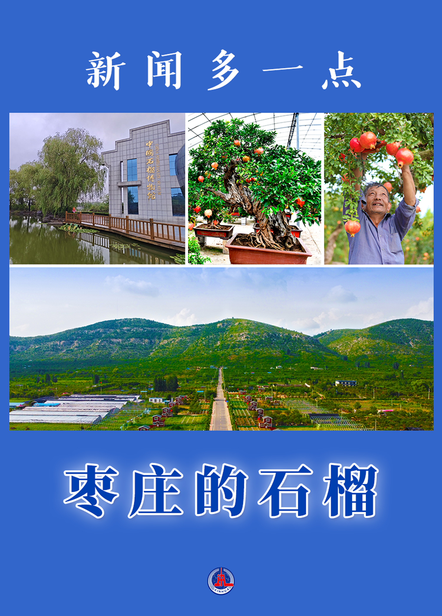 新聞多一點(diǎn) | 棗莊的石榴