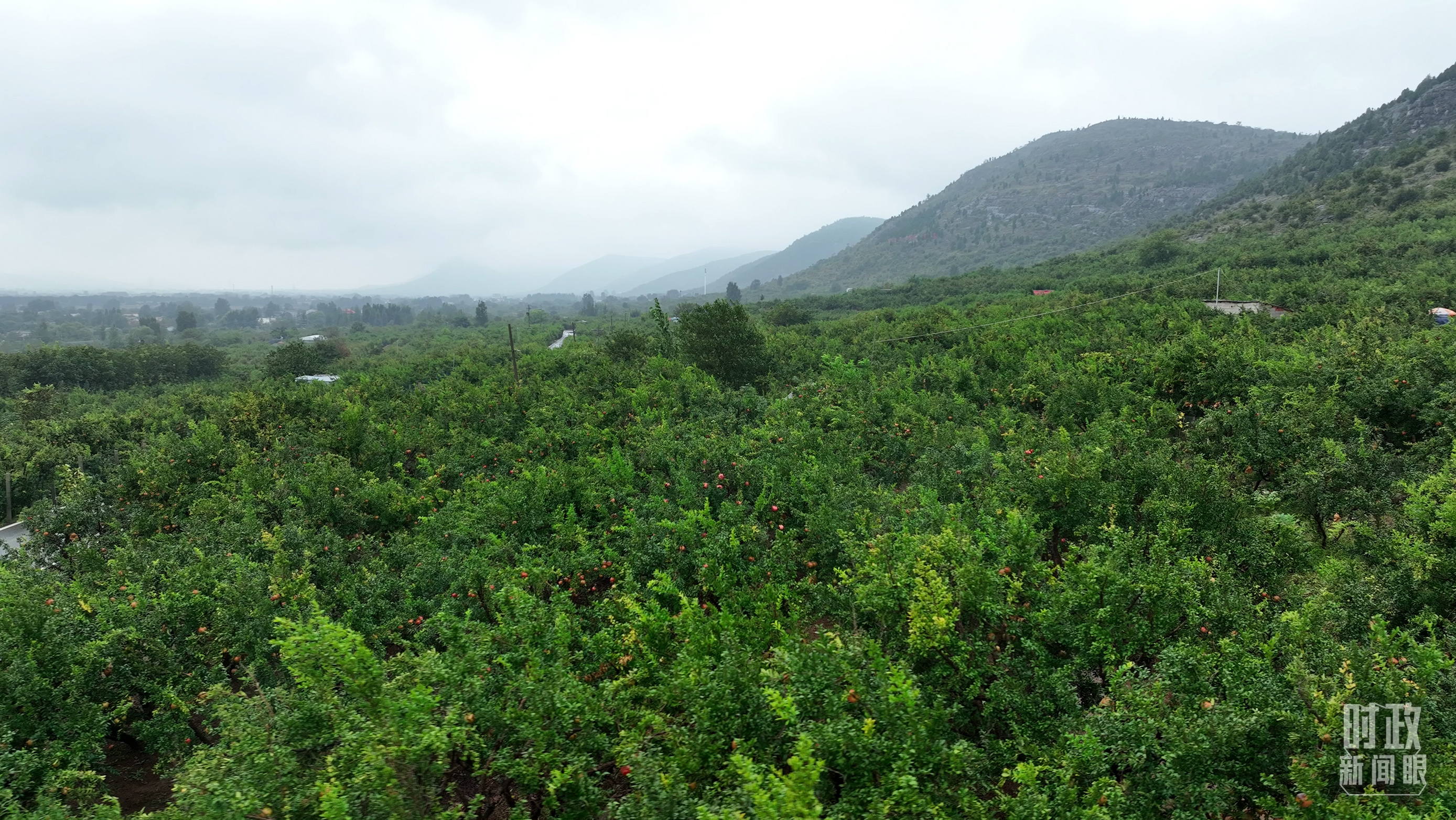 時(shí)政新聞眼丨從浙江到山東棗莊，習(xí)近平這一次考察重點(diǎn)強(qiáng)調(diào)了什么？