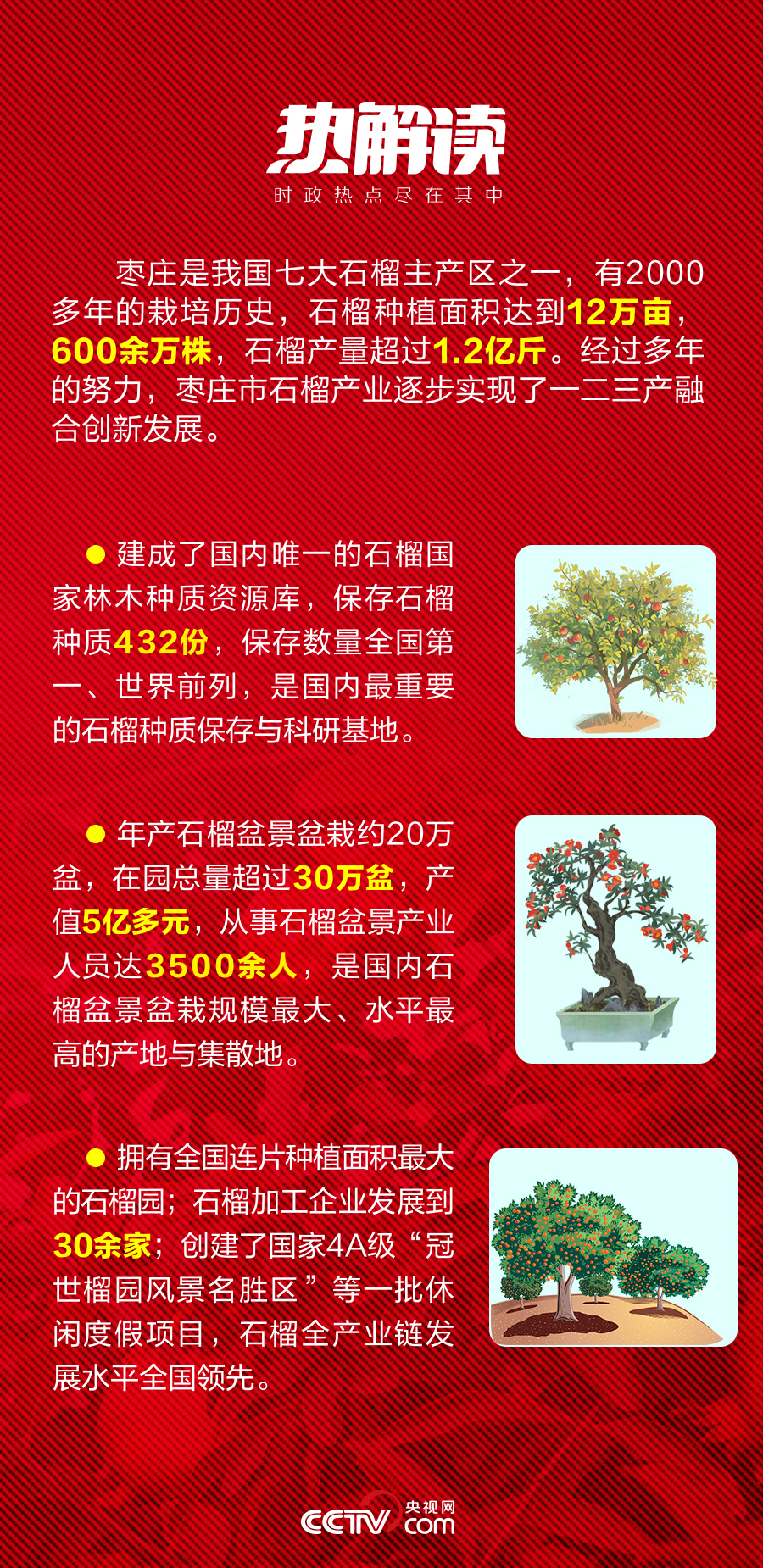 熱解讀｜火紅石榴如何帶來(lái)紅火生活 總書(shū)記再談這篇“大文章”