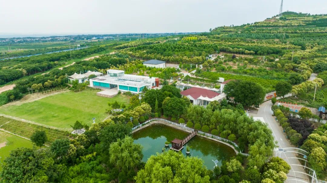 十年如一日，他們堅(jiān)守在建設(shè)綠水青山的第一線
