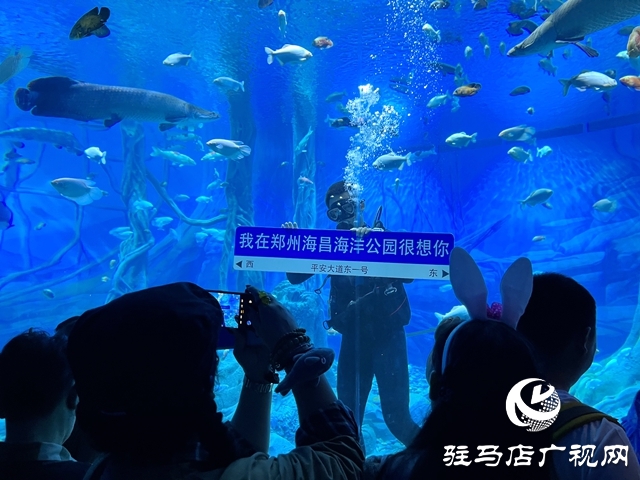 駐馬店多家旅行社負責(zé)人赴鄭州海昌海洋旅游度假區(qū)進行踩線活動