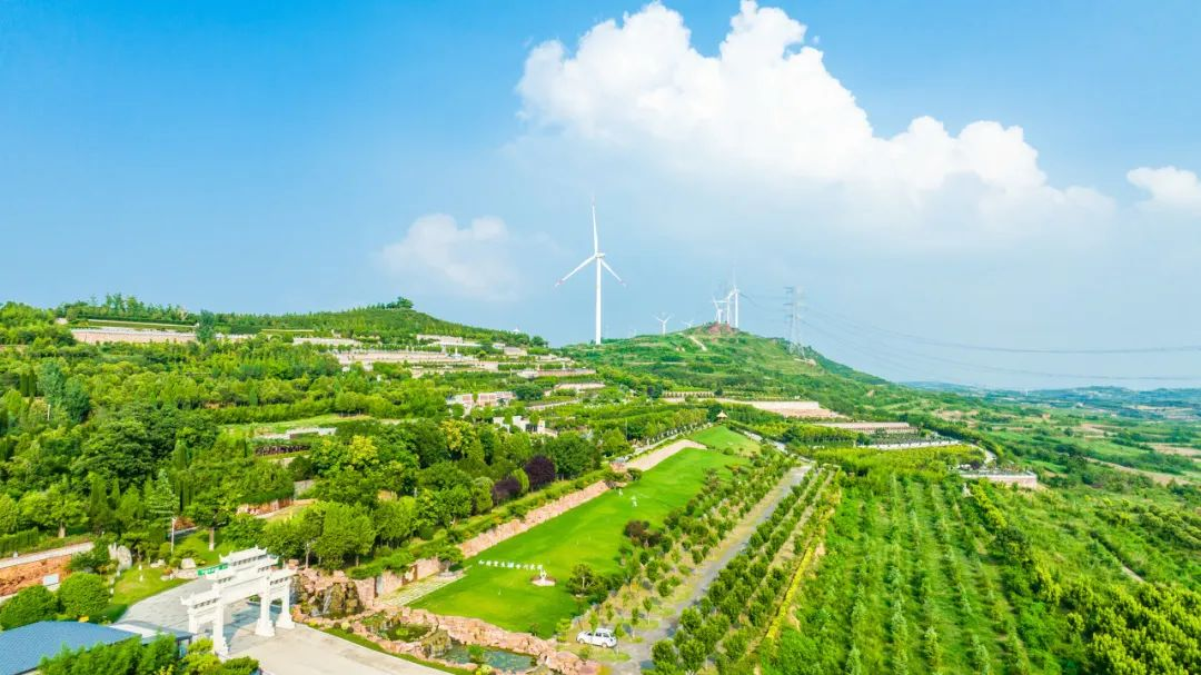 十年如一日，他們堅(jiān)守在建設(shè)綠水青山的第一線