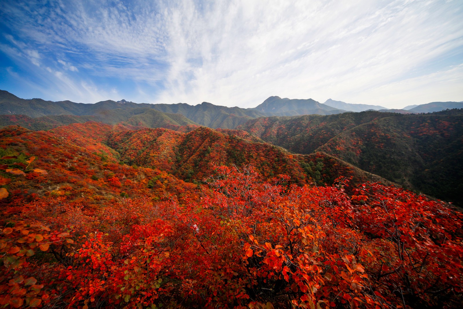主打仙境漫游，神仙旅游地濟(jì)源的初秋攻略請(qǐng)查收 | 國(guó)慶漫游Citywalk