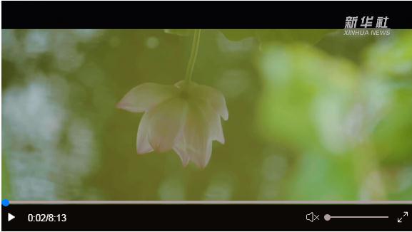 跟著總書記探尋中華文脈丨古祠風(fēng)韻，遇見三蘇祠！