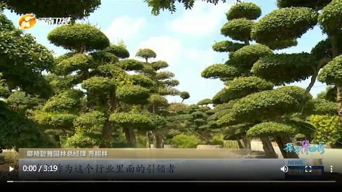 當(dāng)國(guó)慶遇上中秋，看河南十八地市“豫拼豫出彩”