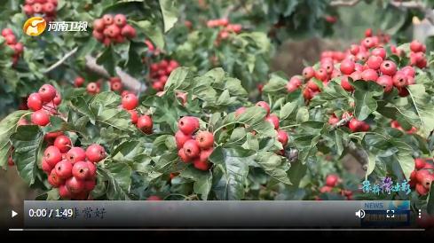 當(dāng)國(guó)慶遇上中秋，看河南十八地市“豫拼豫出彩”