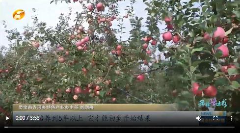 當(dāng)國(guó)慶遇上中秋，看河南十八地市“豫拼豫出彩”