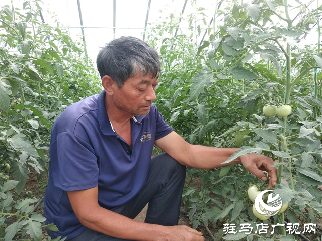 正陽縣：技能培訓助力群眾增才增收