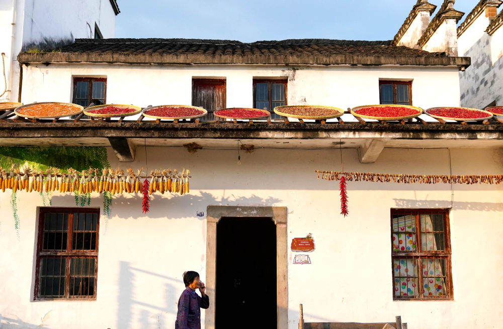 第1視點|繪就和美鄉(xiāng)村新畫卷