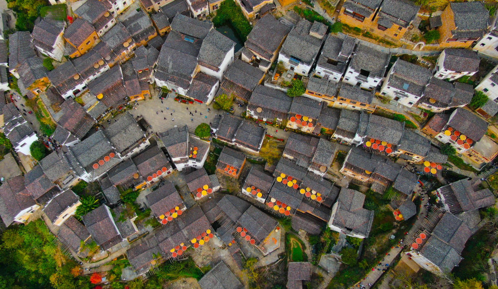 第1視點|繪就和美鄉(xiāng)村新畫卷