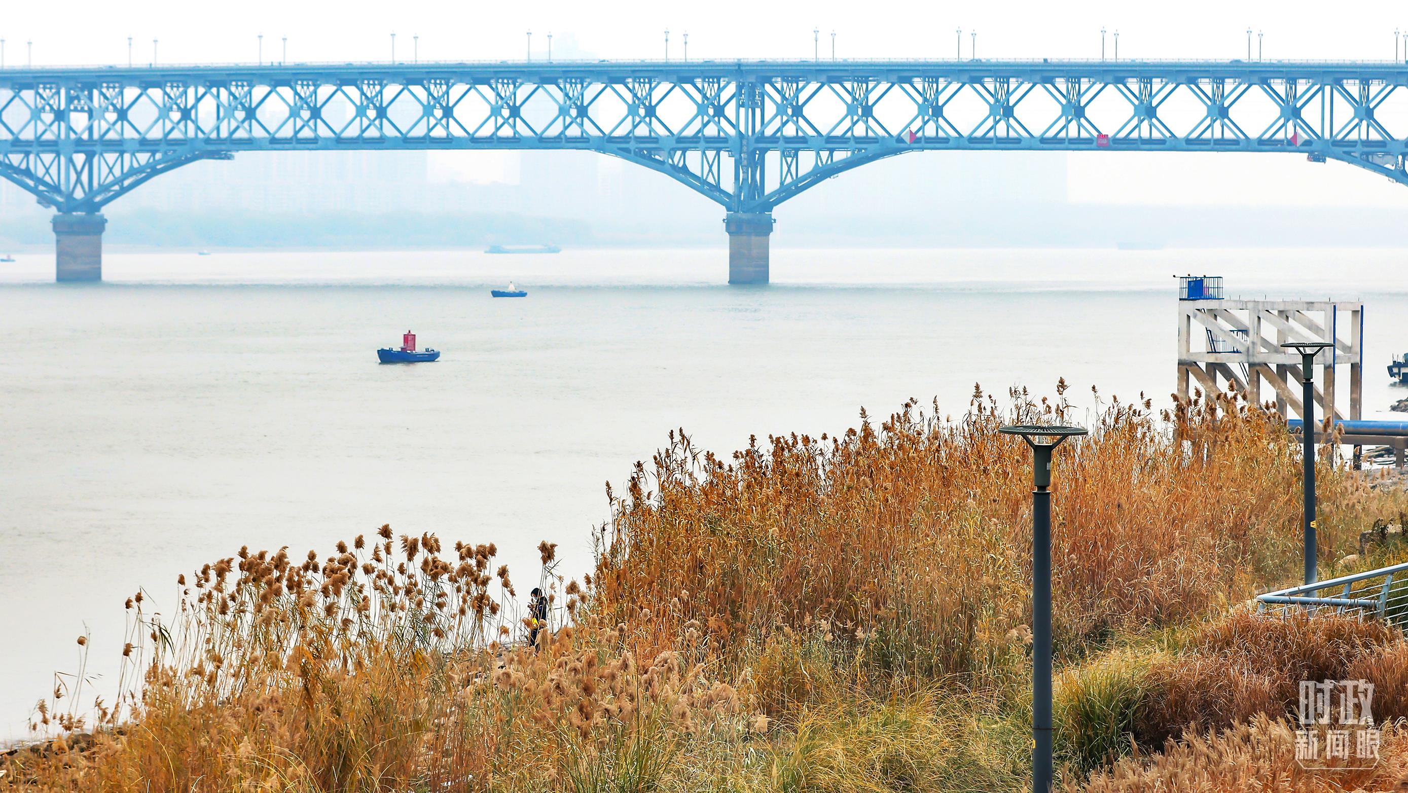 時政新聞眼丨第四次長江經(jīng)濟帶發(fā)展座談會召開，習(xí)近平作出哪些重要部署？