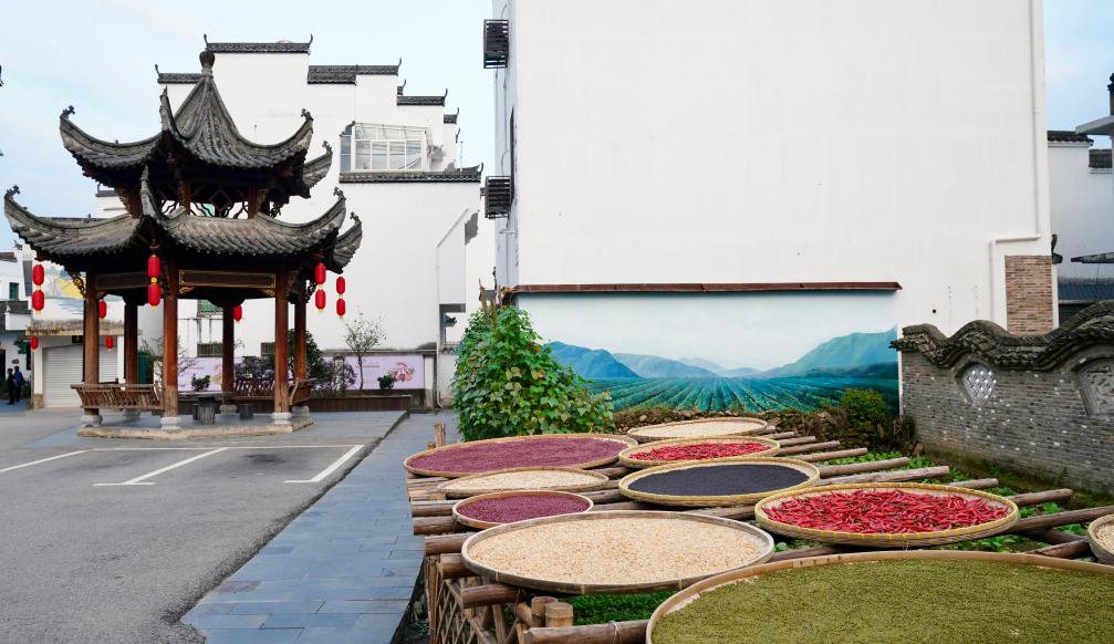 新聞多一點(diǎn)|婺源曬秋