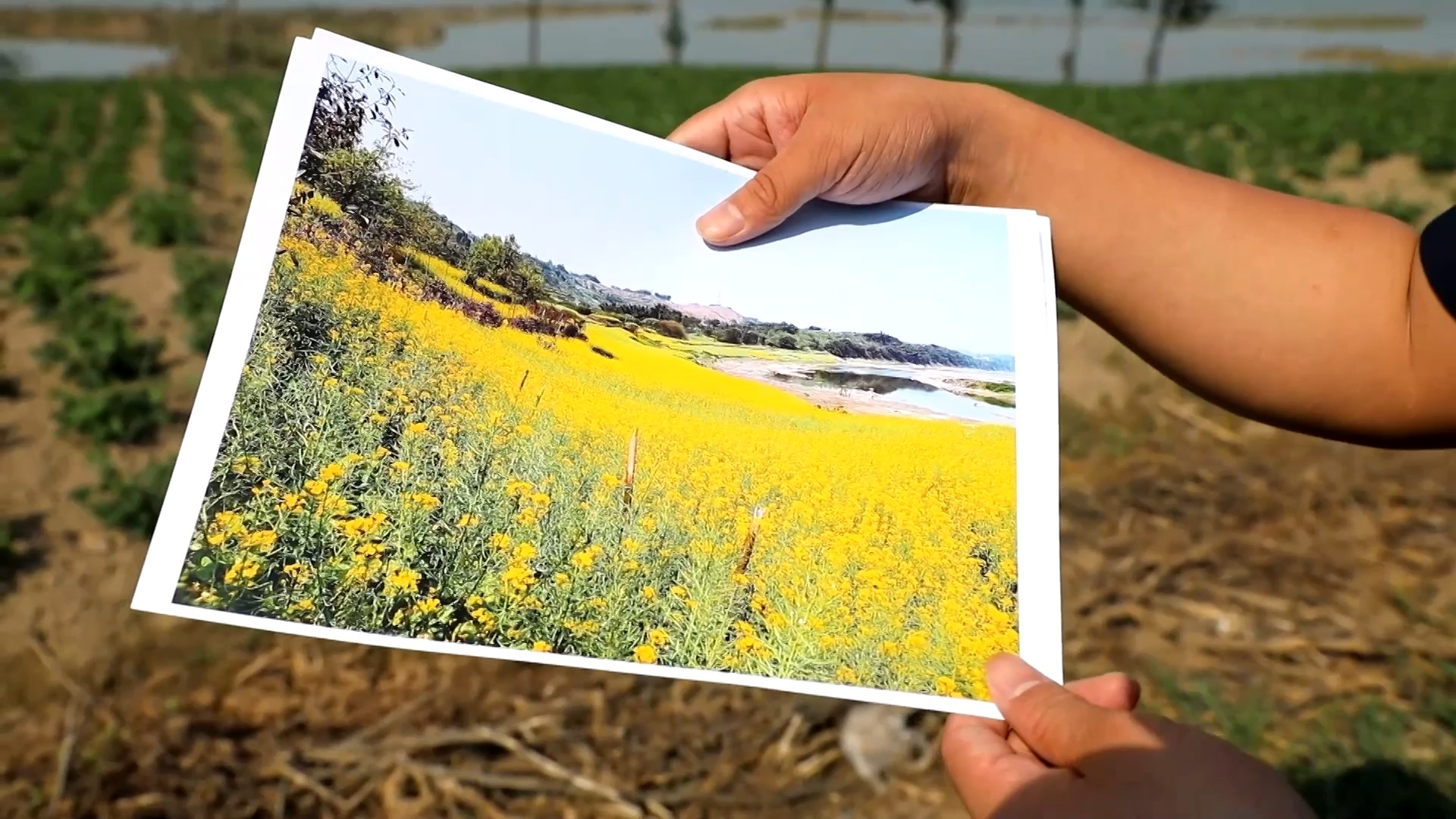 重磅視頻｜萬里長(zhǎng)江萬里情
