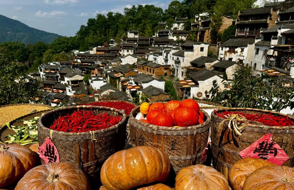 新聞多一點(diǎn)|婺源曬秋