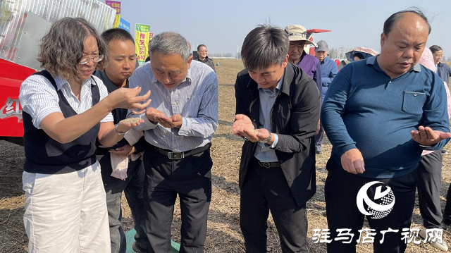 2023年駐馬店市芝麻機收現場觀摩會成功召開