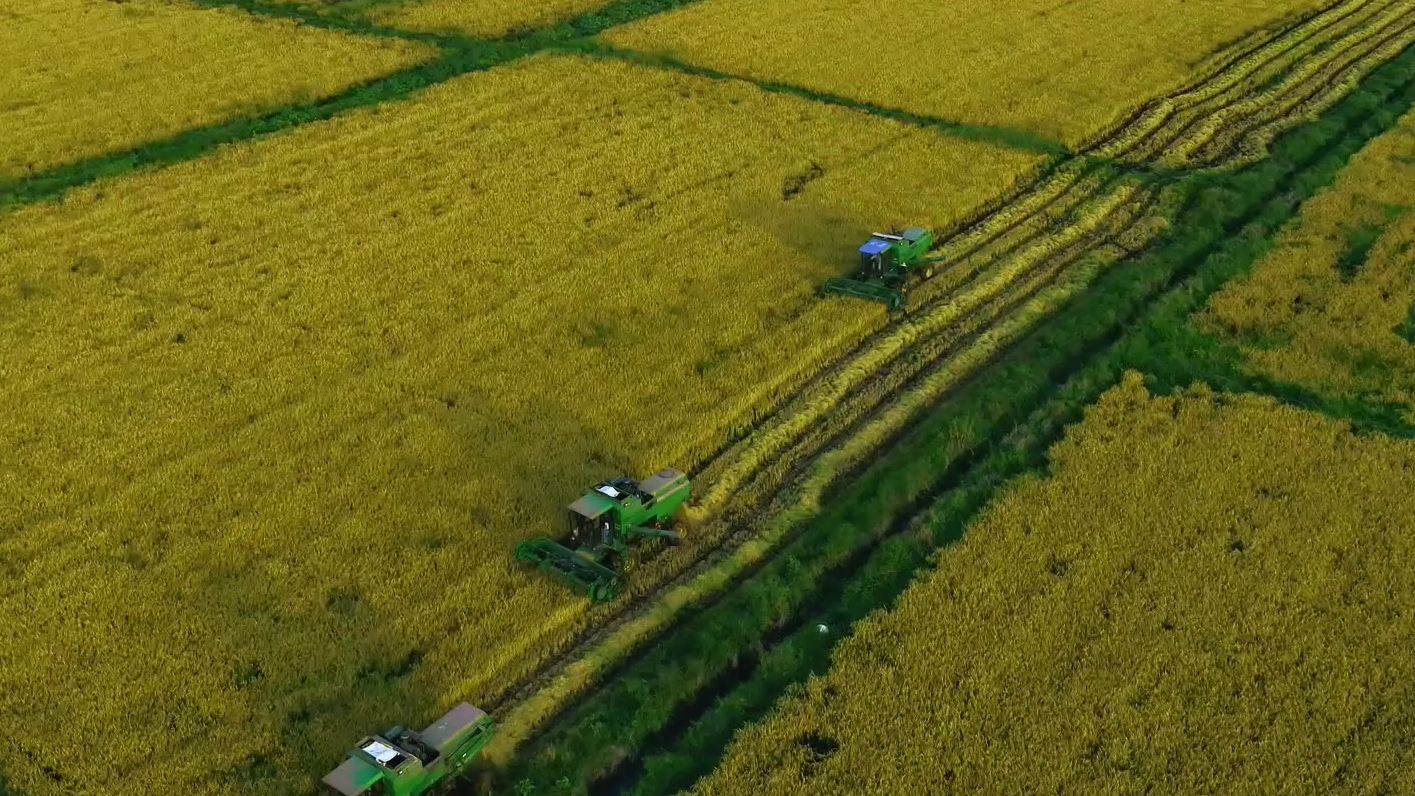 共建“一帶一路”十周年大型政論片｜大道無垠