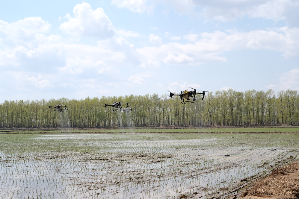 新時(shí)代新征程新偉業(yè)·習(xí)近平總書記關(guān)切事丨“北大倉(cāng)”:當(dāng)好國(guó)家糧食安全“壓艙石”