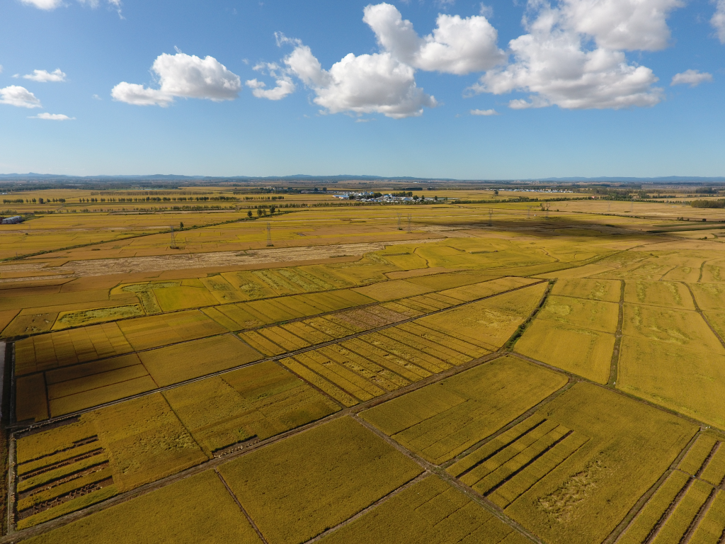 新時(shí)代新征程新偉業(yè)·習(xí)近平總書記關(guān)切事丨“北大倉(cāng)”:當(dāng)好國(guó)家糧食安全“壓艙石”